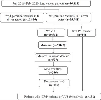 Profiling Oncogenic Germline Mutations in Unselected Chinese Lung Cancer Patients